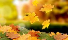 谁不渴望拥有一句让自己开心愉悦的话语？