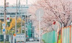 永别时让心碎的离别之言