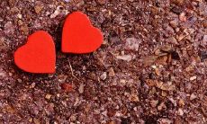 家庭让你失望的句子汇总：从父母的失职到兄弟的自私，细数家庭中种种让人失望的因素