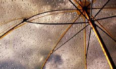 感到极度失望、痛苦及无法接受的表达方式，以表达对某件事情的强烈失望