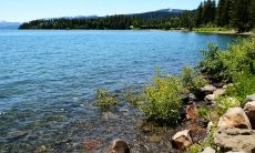 如何发送一条问候客户母亲节的短信？让我们一起探索如何为客户母亲节献上最贴心的祝福！