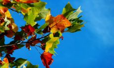 在寒冷的季节中向叔叔发去心暖神童的问候短信