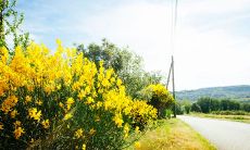 让人心痛的亲情断句，深刻刻画家庭纷争和人性脆弱