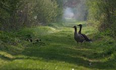 两位年迈的姐妹之间充满深情的亲情表达