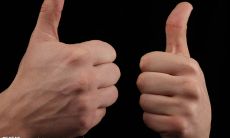 摘抄说明文中的句子：注重细节的摘取技巧，提升文献阅读能力