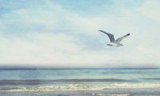 使用有趣语言取悦男友的妙趣句子，助你亲手制造他人人羡慕的欢乐氛围