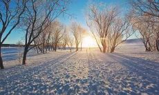 分享冬至日的感受和心情，让朋友圈充满温暖的气息