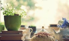 21句精美抒情句子，让你感受岁月流转之美