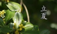 在迎接立夏的日子里，分享21句有关心情的说说