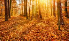 多变的天气下，发送给你的问候短信