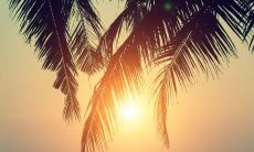 ，鼓舞士气，激励成长，提升战斗力！