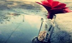 延长版：探讨情感伤痛的话语，掏心说出真实感受的心情短语大全