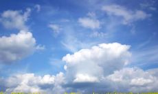 数月未曾相见 重逢时心中喜悦溢于言表的句子