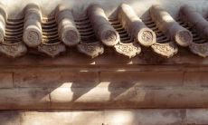 望着你欢笑流连忘返的句子，令人艳羡不已