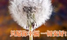 在社交媒体上发朋友圈时，分享最温暖的问候和励志语句，让您享受最愉悦的一天开始！