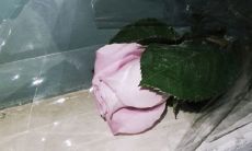 不开心，心情低落，内心郁郁寡欢：一篇倾诉情感的文字