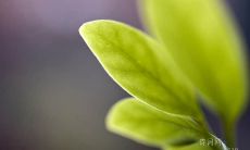 汇总：让你激发动力和信心的世界著名励志名言和警句