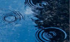 笑翻天，撒花赞叹不止！绝对让你忍俊不禁、大笑不停的超级搞笑幽默文爱，打破笑点极限，让你的眼泪几乎要流出来的可爱语句！