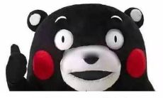 照片中的冬日景色：记录下寒冷季节的美妙瞬间