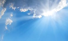 来了！让我们在这个春季时节沐浴温暖，共享美好时光，用问候短信传递慰藉和支持！