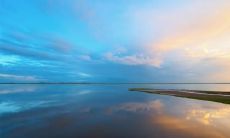 非常兴奋并且无比激动，表达内心狂喜欢要爆发的句子