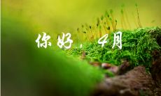 每年四月的祝福短信：描绘春季美景，分享温暖亲情，传递健康祝福和愉悦心情的短信寄语！