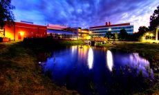 享受形容词创造的乐趣：让你心情愉悦并充满欢乐的句子！