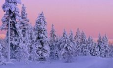 丰富多彩的冬季景象：描写寒冷季节的壮丽景色，从如雪花般的白雪覆盖到雾气缭绕的森林，到寒风扫过的萧条荒野，一切尽在其中