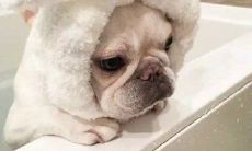 用丰富个性的小红书个性签名，突显你的独特风格！