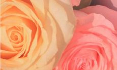 如何在社交媒体上展现独一无二的自我和个性特质