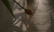 惊艳而简短的文案：探究几个在字数不多却营销效果惊人的案例