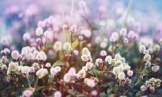 享受美好生活的幸福句子：今天我心情美妙无比