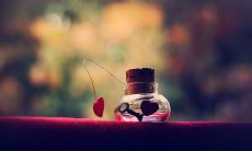 在时间流逝中述说亲情的一句话：守护与珍爱，直至岁月的轮回摧毁再重建