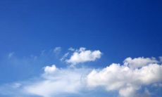 欣喜若狂的语句，流露内心喜悦之情的句子