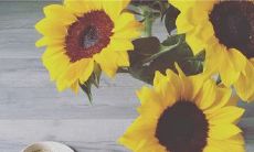 男生在恋爱中能言善语、喜悦自在的句子，引发心灵愉悦及慰藉