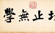 汇集各方智慧的文明古谚和名人警句：探索学习之路的不竭灵感汇编