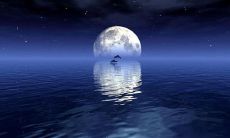 在这个中秋佳节，我对家人的思念之情不能自抑：表达思念家人的美妙句子盘点