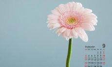 伟大的父母，我永远感谢您们无私的爱与奉献，让我在这个世界上找到了自己的位置，真正体会到了什么是关爱与温暖