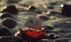 摆脱对婚姻失望的情绪，让你开怀大笑的一系列滑稽婚姻句子