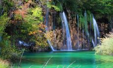 初夏之际，流淌着温馨绵长的友情：一句话记录一段过往，一片青翠承载一份真挚，永葆心灵的清新感动