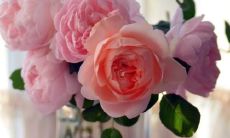 究竟什么是快乐？让你瞬间开心的句子分享！