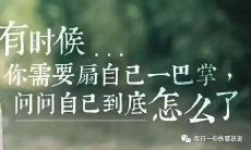 感情受挫？来看看这些让人心碎的话语