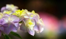 沮丧的原因在于结婚事宜：探析导致不开心的情绪根源