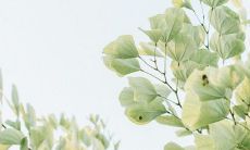 搜集精美描绘亲情的诗歌或语句，深入探寻亲密关系的真谛