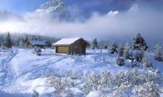 说说心情的有深意的亲情句子：感受家人之间的情感纽带