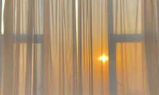 白月光和朱砂痣：两个独特而浪漫的元素组成的故事