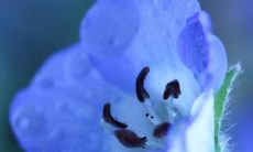 在美丽的旅途中分享幸福愉悦的感受：畅谈开怀，无比愉快！