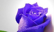 青春是放肆的时光，留下的句子和思考