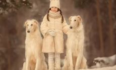 在下雪时让你嬉笑怒骂的有趣短语和俏皮话