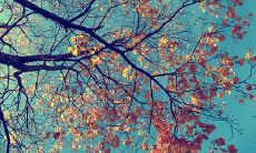 的危害有多大？ 如何打破假装开心的循环并面对真实情绪？